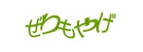 Authentication image